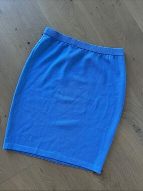 ST.JOHN COLLECTION Blue Knit Pencil Skirt - Women's